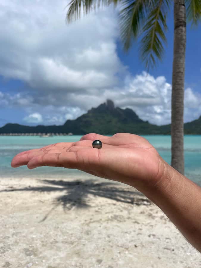 Bora Bora: Discovering the Tahitian black pearl ! - The real point of the experience: choosing a living oyster