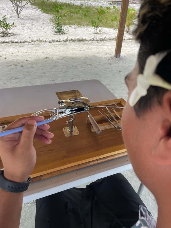 Bora Bora: Discovering the Tahitian black pearl ! - From your hotel pontoon to Motu Taufari’i