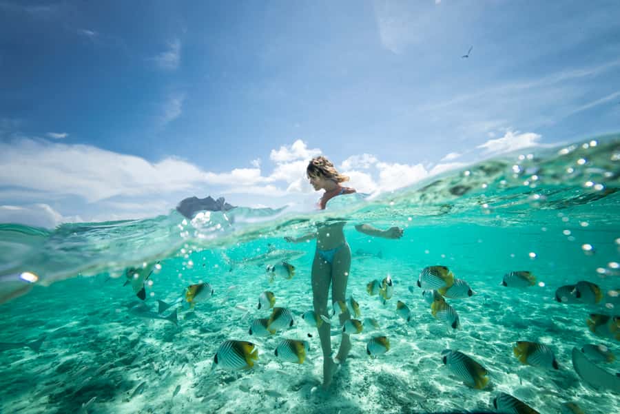 Bora Bora: Eco Shark and Snorkeling Safari - Eagle rays and the wider lagoon