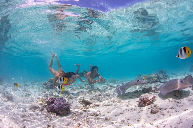 Bora Bora Eco Snorkel Cruise Including Snorkeling with Sharks and Stingrays - Why this lagoon cruise is worth your time