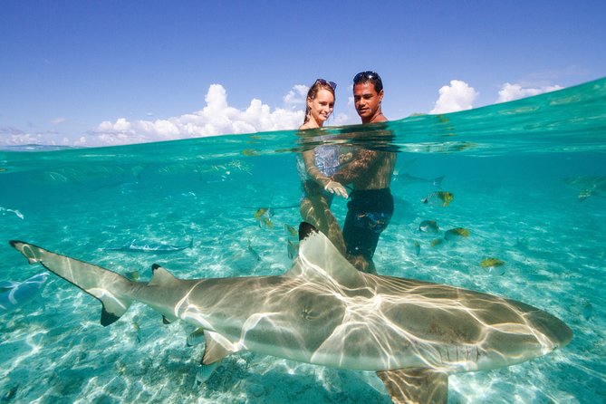 Bora Bora Eco Snorkel Cruise Including Snorkeling with Sharks and Stingrays - Manta rays, eagle rays, and other possible sightings