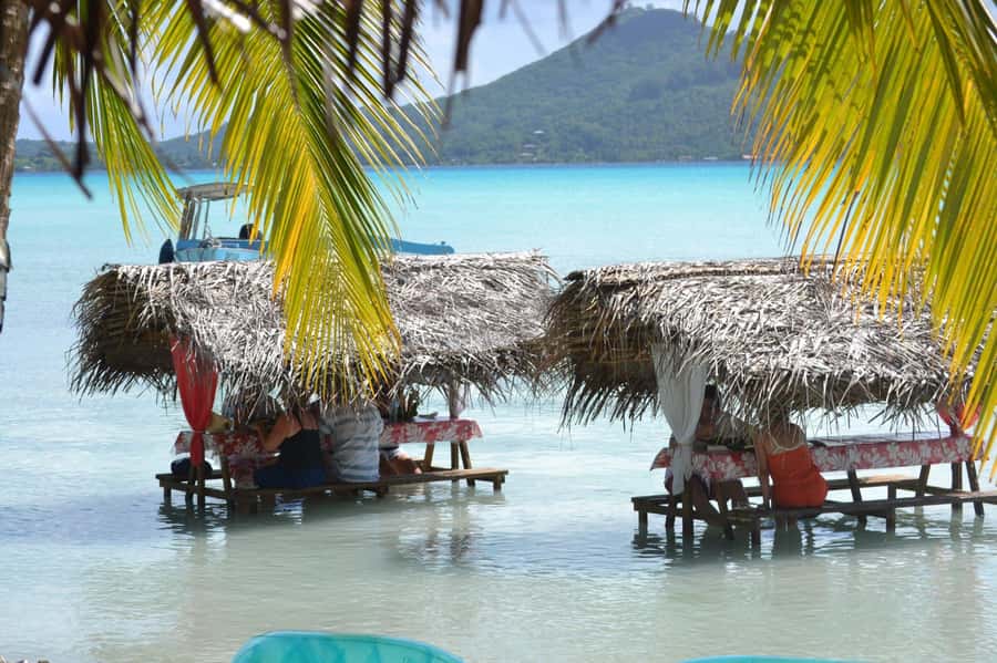 Bora Bora: Full-Day Lagoon Snorkelling Tour - Blacktip sharks and a coral garden