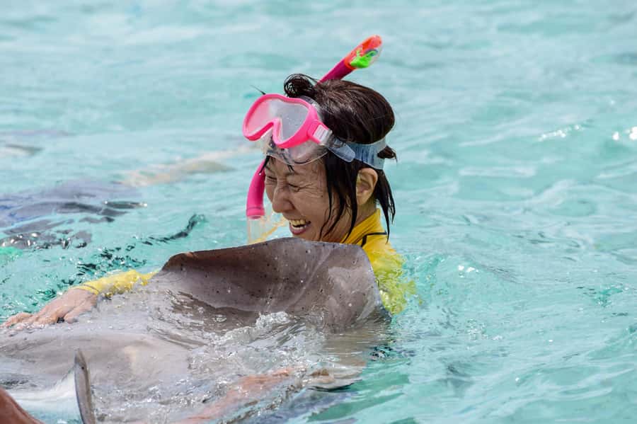 Bora Bora: Full-Day Lagoon Snorkelling Tour - Starting around Matira or Vaitape