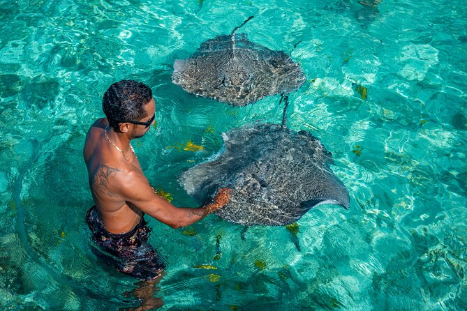 Bora Bora Full Day Snorkeling with Lunch - What the Guides Add to the Day