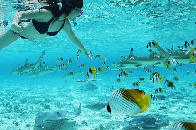 Bora Bora Full Day Snorkeling with Lunch - Safety, Fitness, and Practical Limits
