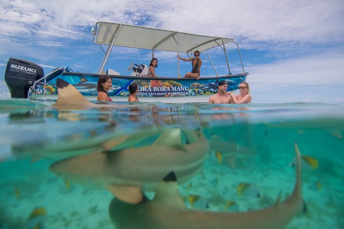 Bora Bora Full Day Snorkeling with Lunch - Motu Fanfan: A Long Lunch on a White-Sand Islet