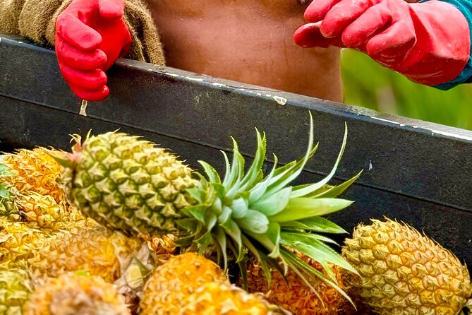 Bora Bora Gourmet Odyssey - Food Tour - Starting in Vaitape and sorting out pickup times