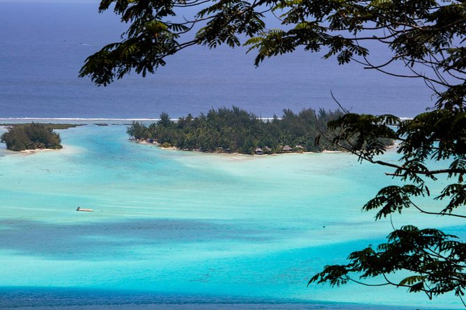 Bora Bora Half Day 4X4 Island Safari Tours - Faanui Valley, gardens, and local art