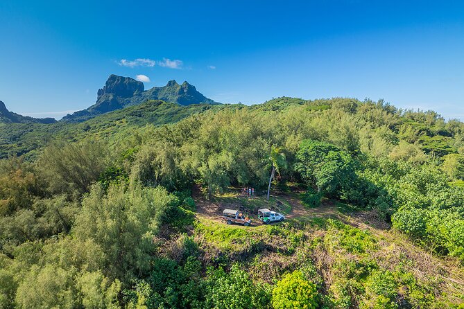 Bora Bora Half Day 4X4 Island Safari Tours - WWII-era guns and what you may actually see