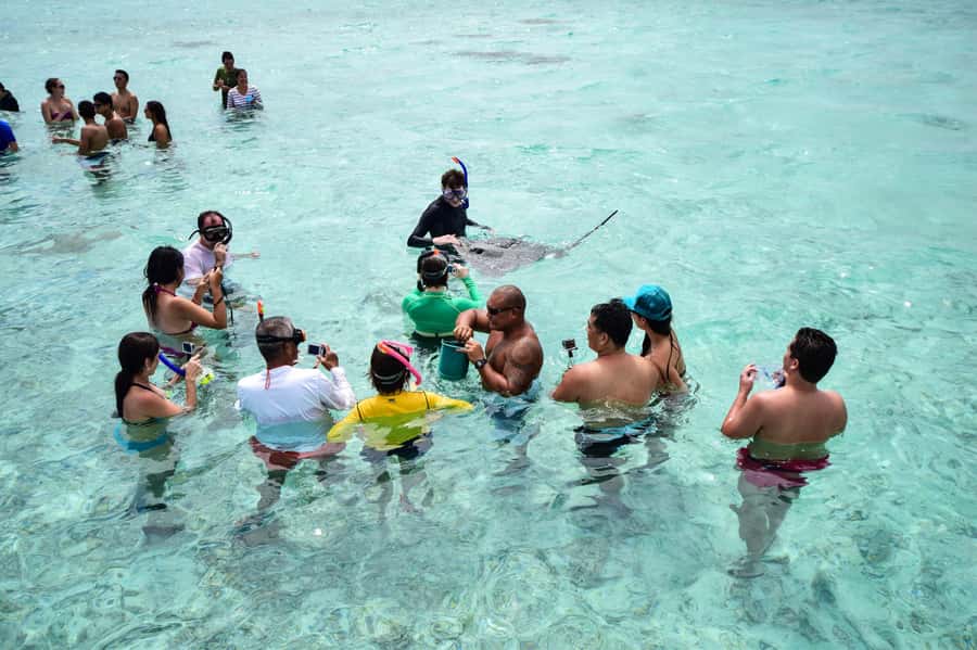 Bora Bora: Half-Day Lagoon Snorkelling Tour - Waist-deep water with rays