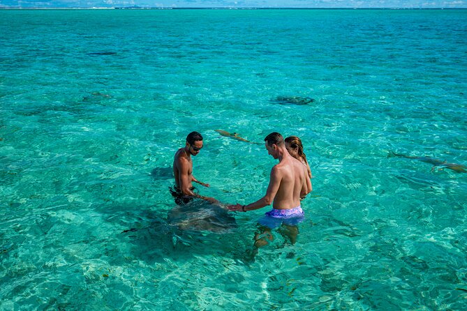 Bora Bora Half Day Snorkeling - What the $111.75 price covers