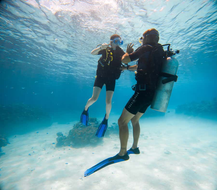 Bora Bora: Introductory Dive - Why this Bora Bora introduction works for beginners