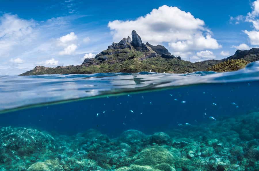 Bora Bora: Introductory Dive - Practical planning for your Bora Bora day