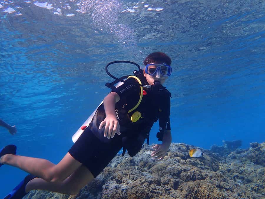 Bora Bora: Introductory Dive - From your accommodation to the lagoon