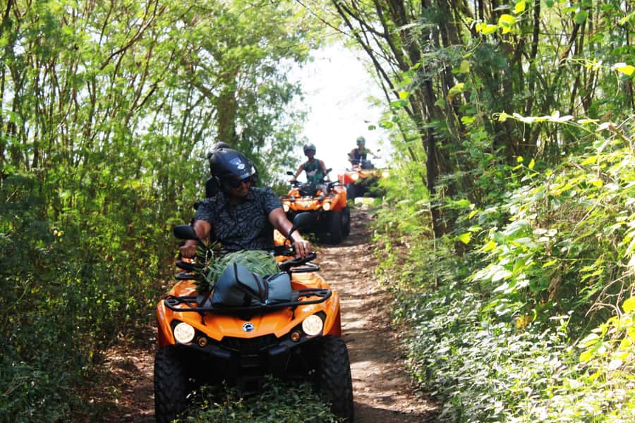 Bora Bora: Island Tour and Mountains Getaway by Quad Bike - Key points to know before booking