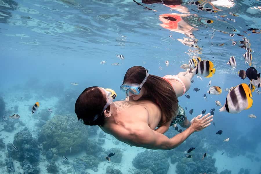 Bora Bora: Jet Ski, Lunch & Shark/ Ray Safari - Who should book it?