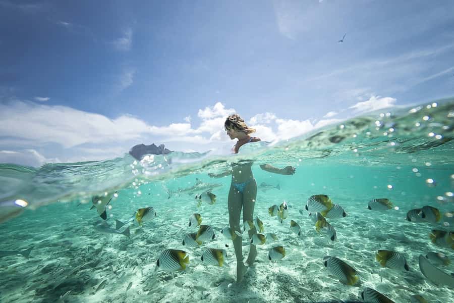 Bora Bora: Jet Ski, Lunch & Shark/ Ray Safari - Two hours around Bora Bora by jet ski