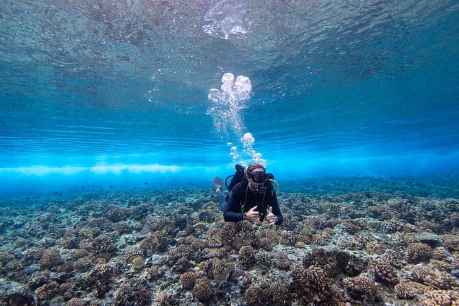 Bora Bora Jet Ski Tour - Who will enjoy this Bora Bora jet ski tour most?