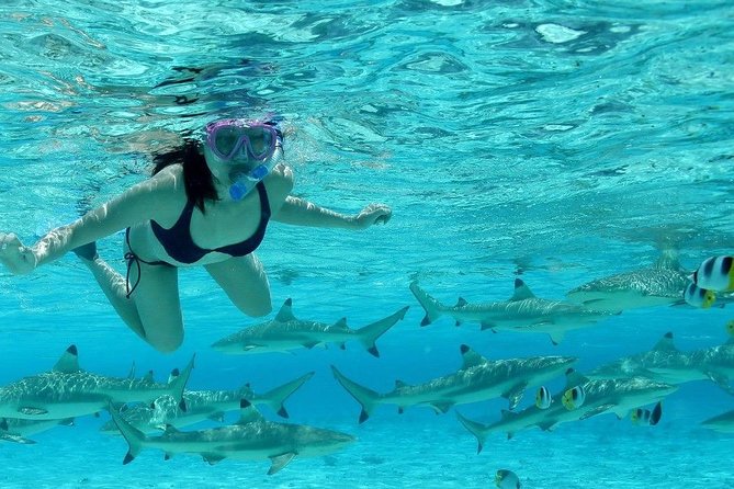 Bora Bora Jet Ski Tour, & Eco Shark / Ray Snorkel Cruise - Wildlife viewing with an eco focus
