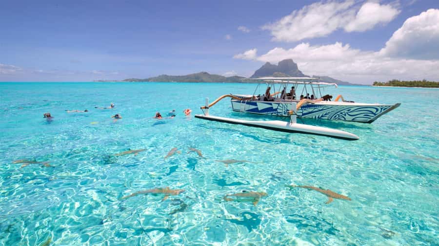 Bora Bora: Lagoon Tour and Snorkeling Experience - Key points at a glance