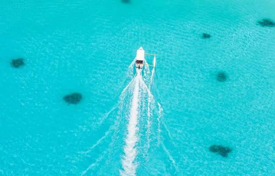 Bora Bora: Lagoon Tour and Snorkeling Experience - The sandbank stop and the view of Mount Otemanu