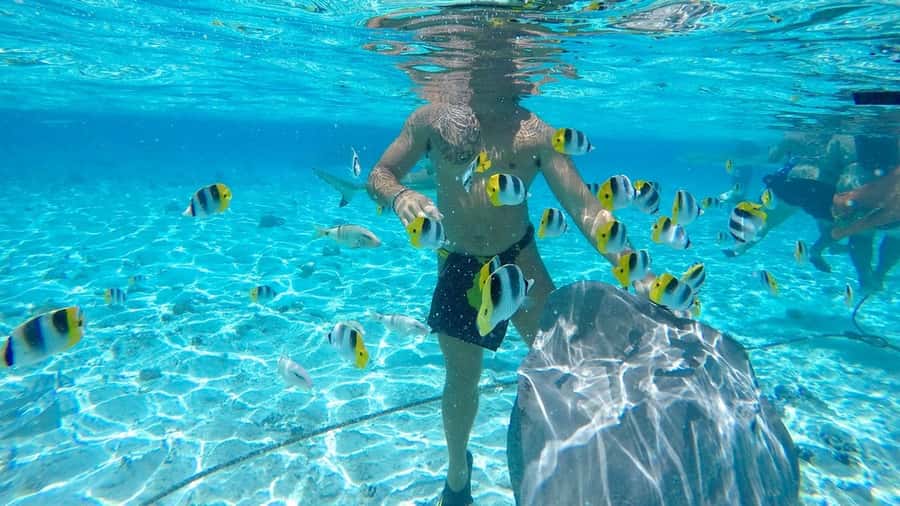 Bora Bora: Lagoon Tour and Snorkeling Experience - Who should book this Bora Bora tour?
