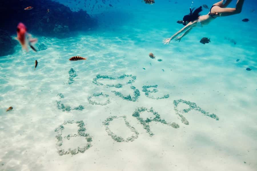 Bora Bora: Lagoon Tour and Snorkeling Experience - First stop: friendly stingrays in shallow water