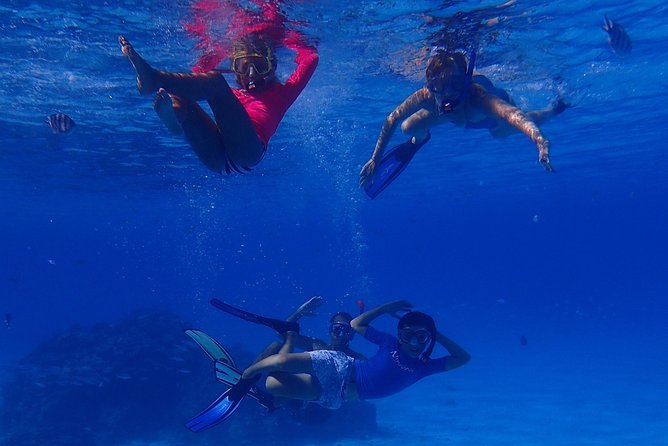 Bora Bora: Luxury Private Half Day Snorkeling Tour - What is included, and what you still need