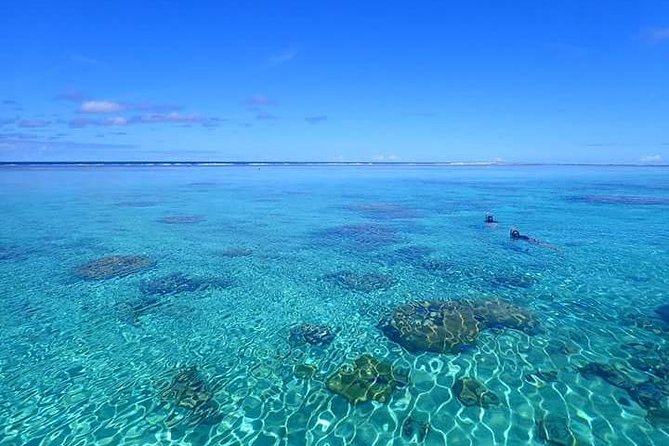 Bora Bora: Luxury Private Half Day Snorkeling Tour - What each snorkeling stop offers