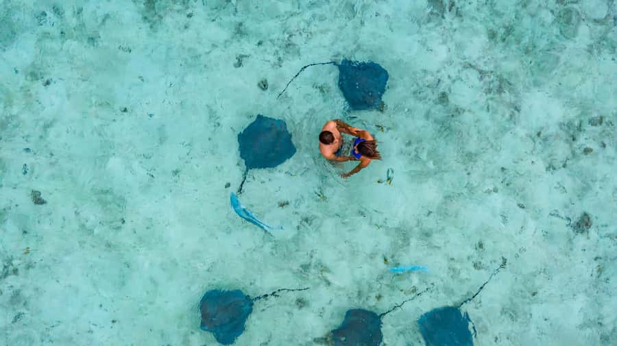 Bora Bora Luxury Tour and Beach Picnic - How the boat time affects the value