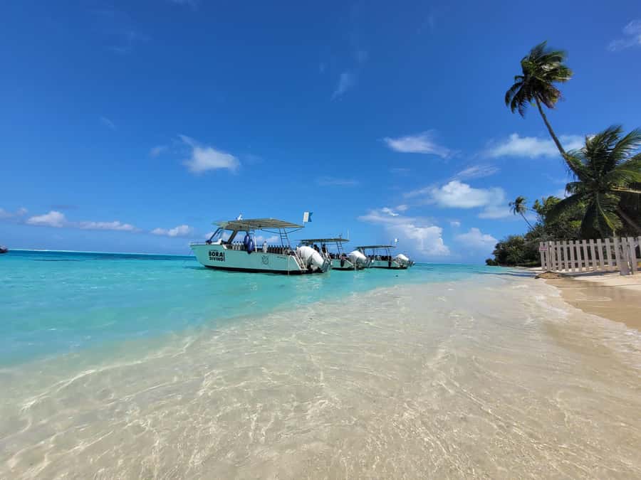Bora Bora: Morning 2 tank dive for certified divers - Two Bora Bora sites before lunch