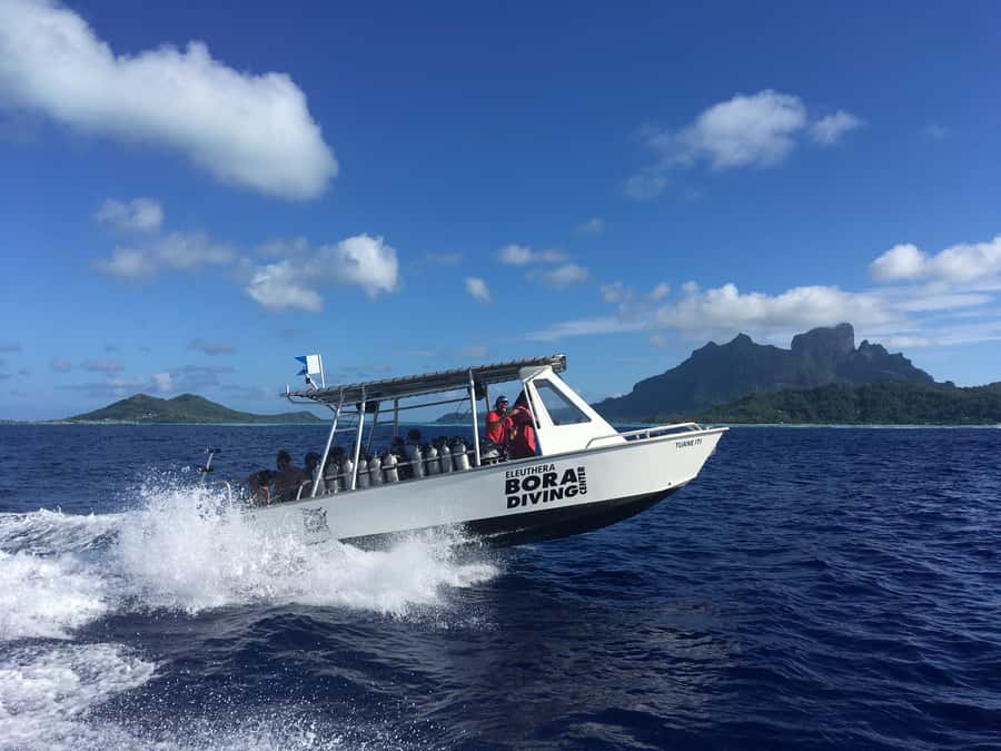 Bora Bora: Morning 2 tank dive for certified divers - Who will enjoy this morning most?