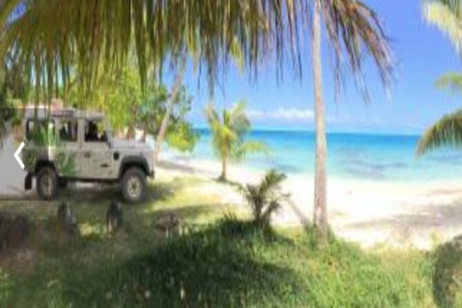 Bora Bora Off-Road Sightseeing Tour - Who Will Enjoy This Tour Most?