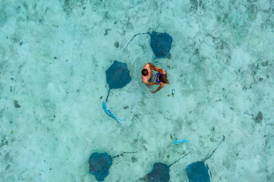Bora Bora: Private Boat Tour with Snorkeling and Drinks - Why a private boat makes sense in Bora Bora