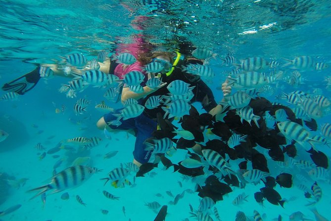 Bora Bora Private Lagoon Tours - Swimming, sightseeing, or simply taking it easy