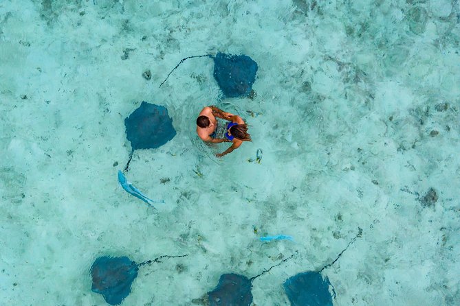 Bora Bora Snorkel Cruise by Polynesian Outrigger Canoe with BBQ Island Lunch - Coral gardens and Bora Bora’s clearest water