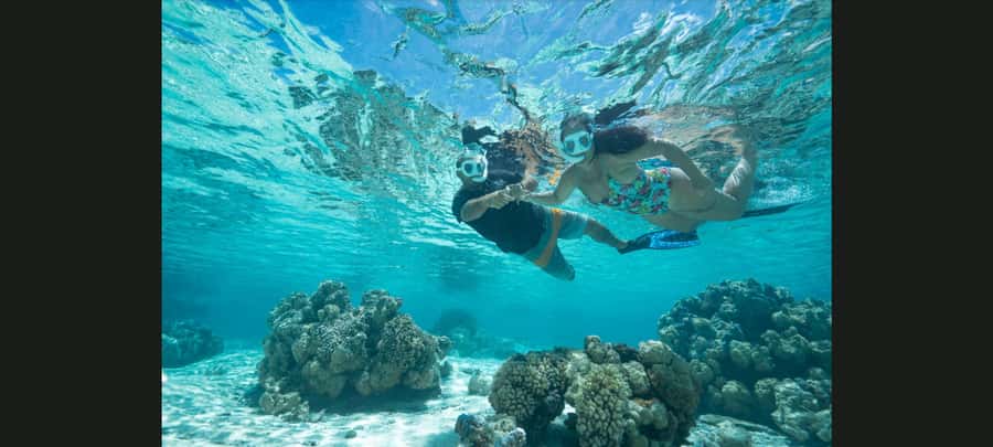 Bora Bora: Snorkeling and Fishing Tour with Lunch Option - Key points to know before you book