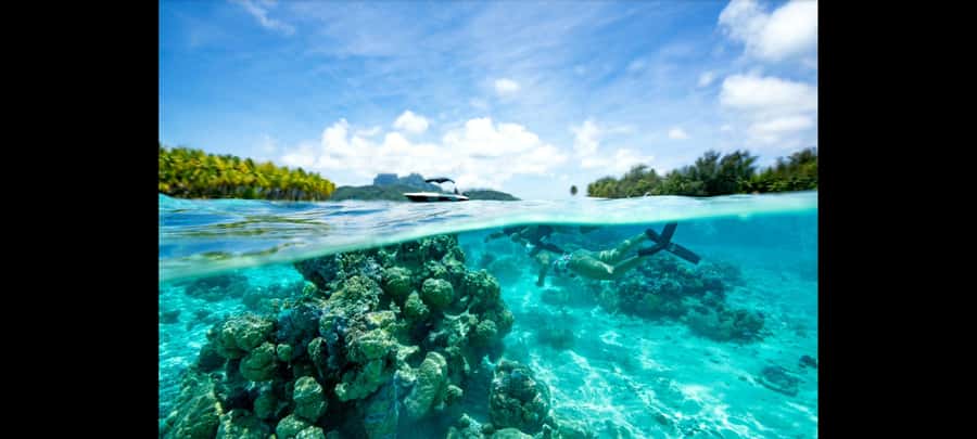 Bora Bora: Snorkeling and Fishing Tour with Lunch Option - Three hours of snorkeling around the lagoon