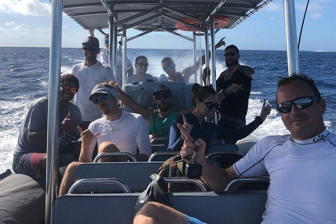 Bora Bora Whale Watching - What the 3.5-hour outing feels like