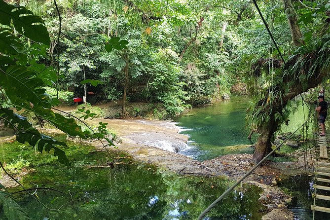 Bridges of Eden: Guided tour including swimming in the river - A good fit for families with different energy levels