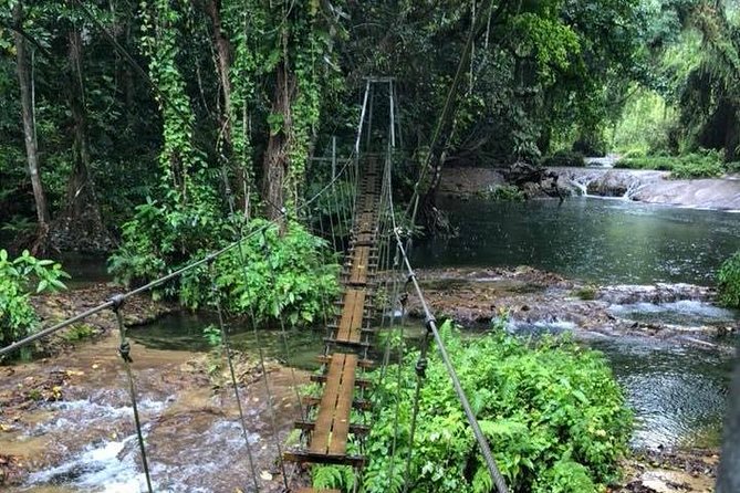 Bridges of Eden with Yumi Tours - Crossing the suspended bridges at Eden on the River