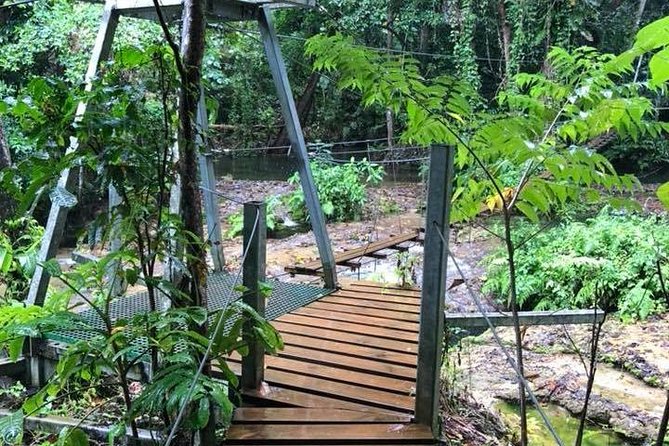 Bridges of Eden with Yumi Tours - Guides and the Yumi Tours experience