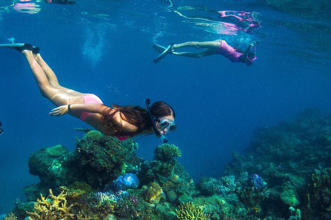 Capt Cook Cruises Super Saver Combo: Day Sail + Dinner Cruise - Two Fiji sailings in one package