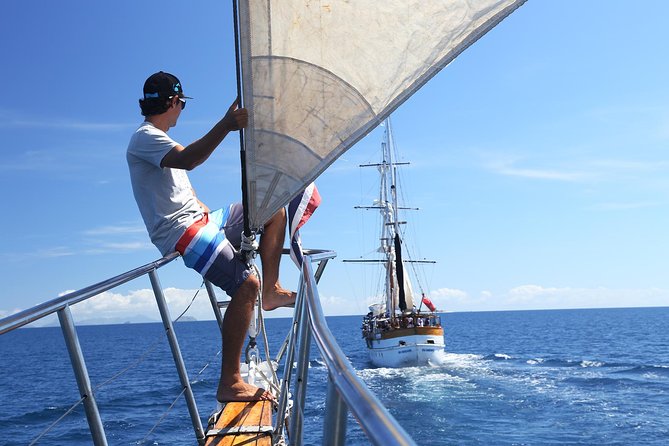 Capt Cook Cruises Super Saver Combo: Day Sail + Dinner Cruise - Sunset, dinner, and Fijian entertainment