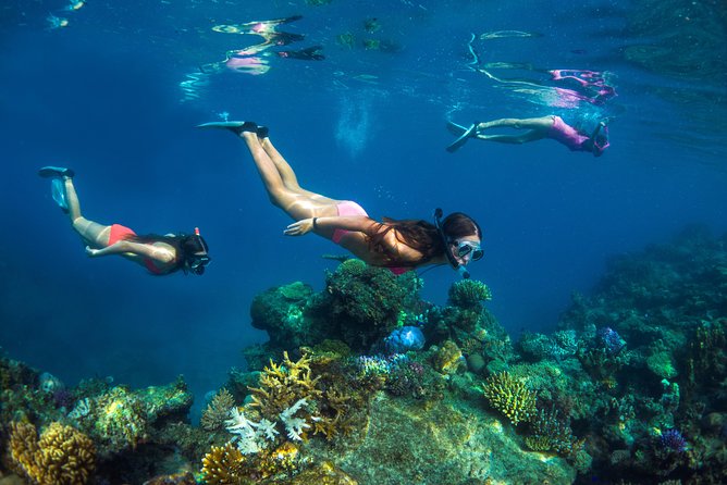 Captain Cook Cruises Fiji - Island and Reef Day Cruise - Kadavu Lailai’s beaches, reef, and free time