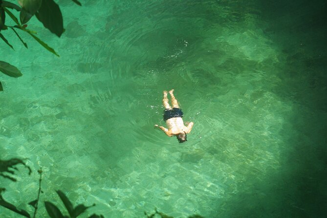Cave Pools and Lava Tube Swims in Upolu - Papapapaitai Falls closes the sightseeing portion