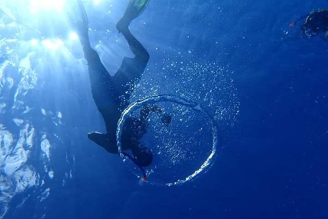 Combo Diving and Snorkeling Half-Day Tour - Pickup, timing, and what to bring