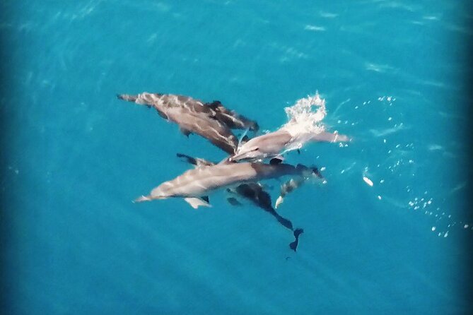 Combo Jet Ski Excursion + 4X4 Safari - Jet skis with Moorea Watersport