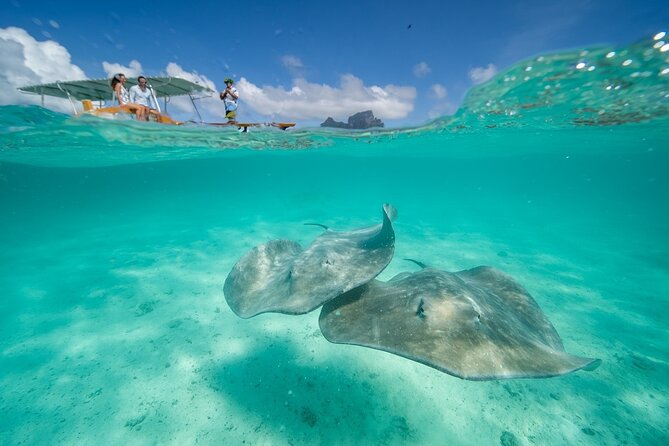 Combo snorkeling + motu lunch + jet ski group tour full day - One day, three classic Bora Bora outings