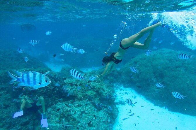 Combo snorkeling + motu lunch + jet ski group tour full day - Stingrays, reef fish, and the first hours on the lagoon